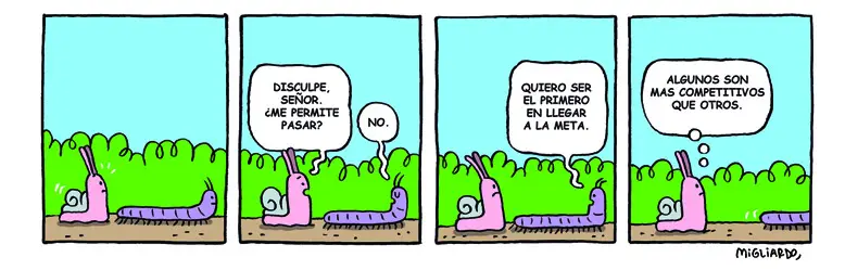 #313
