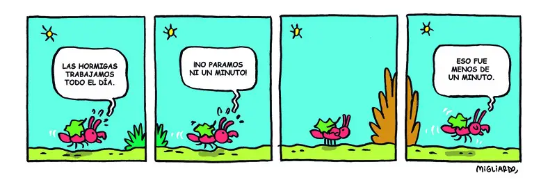 #317