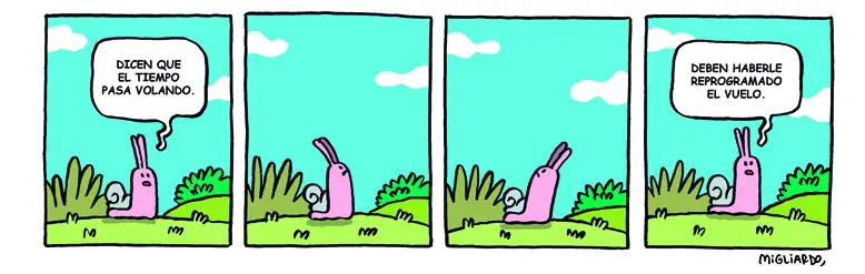 #319