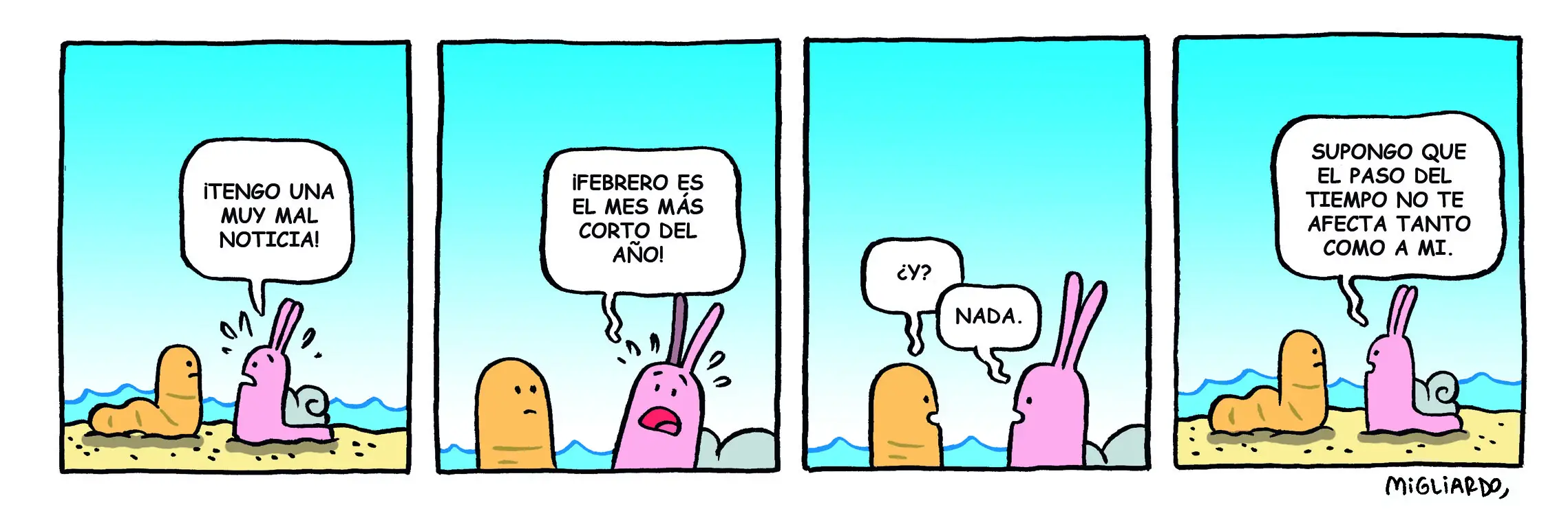 #333