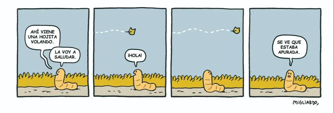 Grandes Amigos
